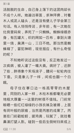 菲律宾签证多长时间 签证如何查询真假